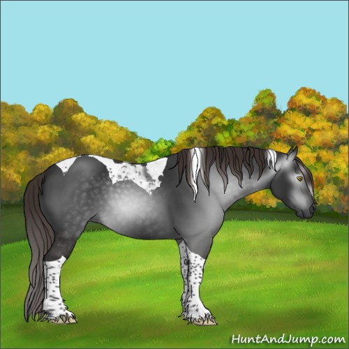 Horse Color:Gray Liver Chestnut Tobiano