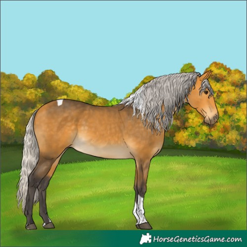 Horse Color:Silver Buckskin Tobiano 