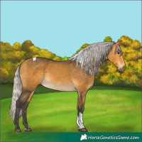 Horse Color:Silver Buckskin Tobiano 