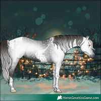 Horse Color:Gray Liver Chestnut Tobiano 