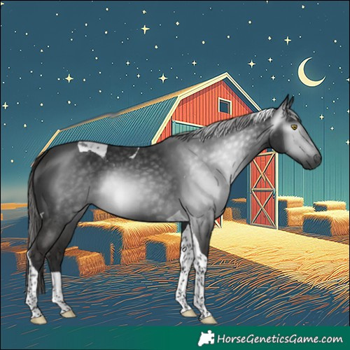 Horse Color:Gray Liver Chestnut Tobiano