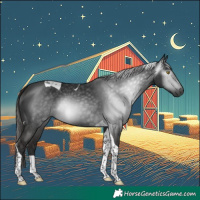Horse Color:Gray Liver Chestnut Tobiano 