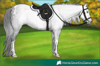 Horse Color:Gray Liver Chestnut Tobiano 