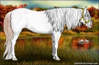Horse Color:Buckskin Pearl Tobiano Appaloosa 