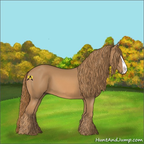 Horse Color:Chestnut Splash