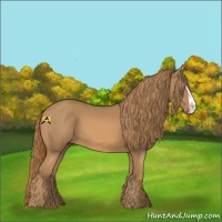 Horse Color:Chestnut Splash 