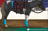 Horse Color:Liver Chestnut Tobiano 