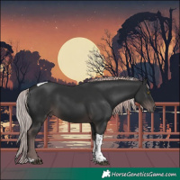 Horse Color:Platinum Liver Chestnut Tobiano 