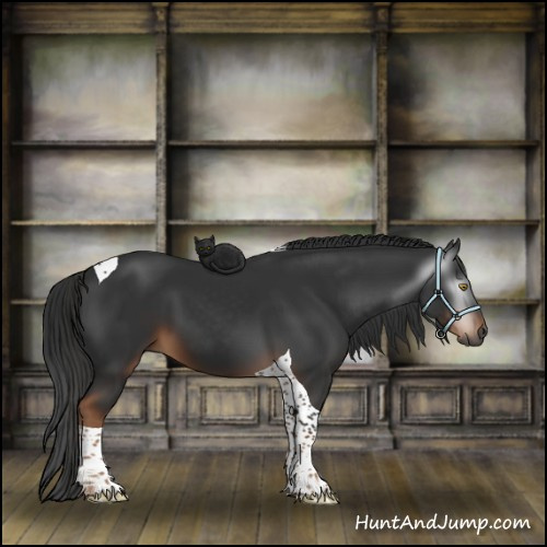 Horse Color:Gray Liver Chestnut Tobiano