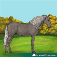 Horse Color:Silver Black 