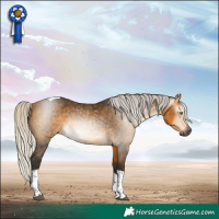 Horse Color:Gray Silver Buckskin Tobiano 