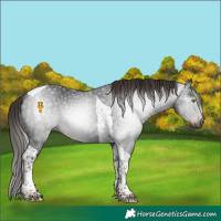 Horse Color:Gray Liver Chestnut Tobiano 