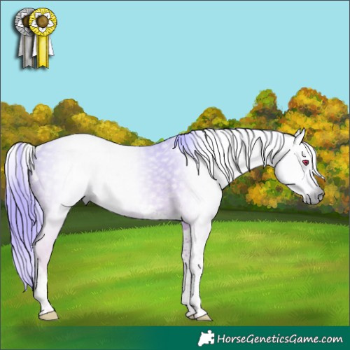 Horse Color:Gray Liver Chestnut Chinchilla Tobiano