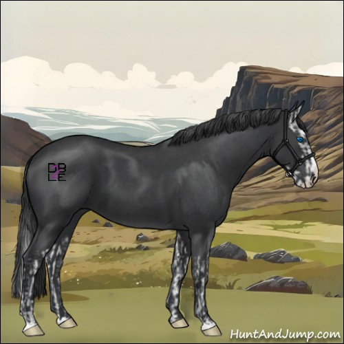 Horse Color:Blue Roan Sabino Splash and Blue Roan Sabino Splash