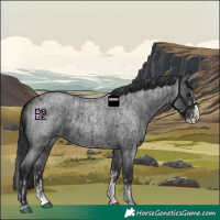 Horse Color:Blue Roan Sabino Splash  and Blue Roan Sabino Splash 
