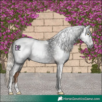 Horse Color:Gray Liver Chestnut Tobiano 
