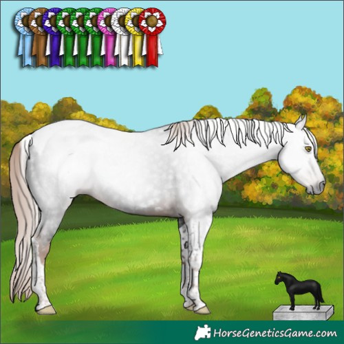 Horse Color:Gray Liver Chestnut Tobiano 