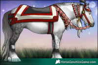 Horse Color:Gray Liver Chestnut Tobiano