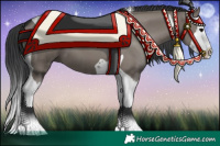 Horse Color:Grullo Splash Tobiano 