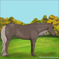 Horse Color:Silver Black 