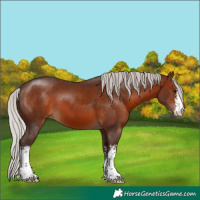 Horse Color:White Spotted Silver Brown 