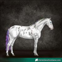 Horse Color:Painted Midnight Red Dun Ice Onyx Splash Tobiano Appaloosa 