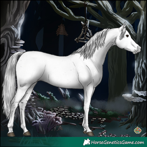 Horse Color:Gray Brown Sabino