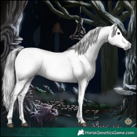 Horse Color:Gray Brown Sabino 
