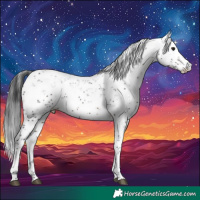 Horse Color:Brown Sabino 