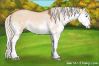 Horse Color:Silver Brown Roan Dun Splash 