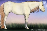 Horse Color:White Spotted Buckskin Pearl Dun