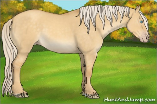 Horse Color:Gold Cream Champagne Dun Sabino 