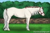 Horse Color:Cremello Roan Splash  Brindle