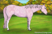 Horse Color:Watercolor Palomino Ice 