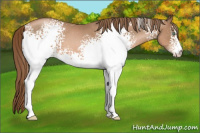 Horse Color:White Spotted Liver Chestnut Pearl 