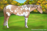 Horse Color:White Spotted Liver Chestnut Pearl Tobiano 