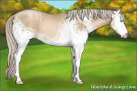 Horse Color:White Spotted Chocolate Palomino Pearl 