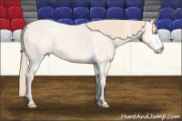 Horse Color:White Spotted Perlino Dun