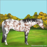 Horse Color:White Spotted Brown Ice Varnish 