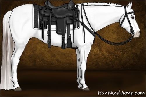 Horse Color:White Spotted Grullo Snowcap 