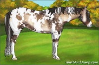Horse Color:White Spotted Liver Red Onyx Ice 