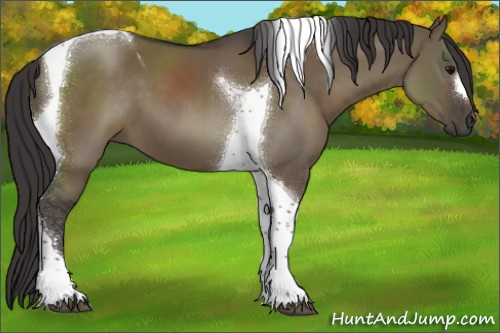Horse Color:Smoky Grullo Tobiano