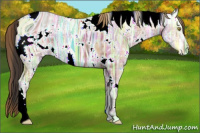 Horse Color:ERROR: UNKNOWN ANOMALY