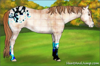 Horse Color:Plaid  Bay Ice Pearl Onyx Appaloosa Rabicano 