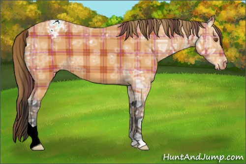 Horse Color:Plaid  Bay Ice Appaloosa 