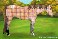 Horse Color:Plaid  Bay Ice Appaloosa 