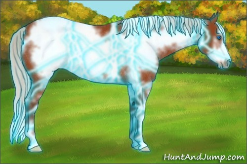 Horse Color:Thunderstruck White Spotted Silver Brown Frame Rabicano