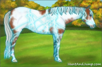 Horse Color:Thunderstruck White Spotted Silver Brown Frame Rabicano