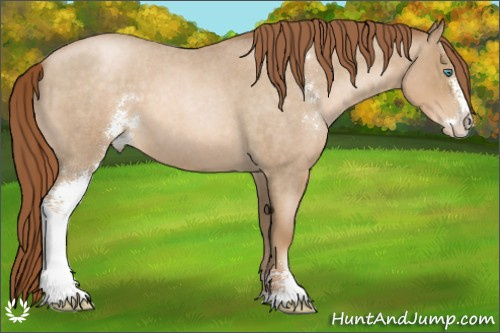 Horse Color:Smoky Blue Roan Pearl Sabino