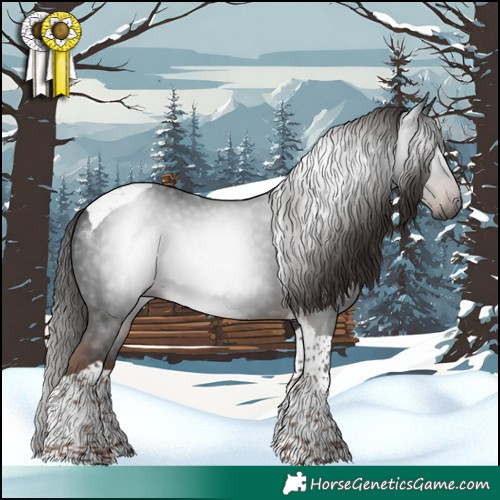 Horse Color:Gray Liver Chestnut Tobiano 
